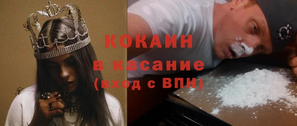 ГАЛЛЮЦИНОГЕННЫЕ ГРИБЫ Каменка