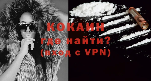 ГАЛЛЮЦИНОГЕННЫЕ ГРИБЫ Каменка