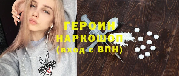 стаф Тайга