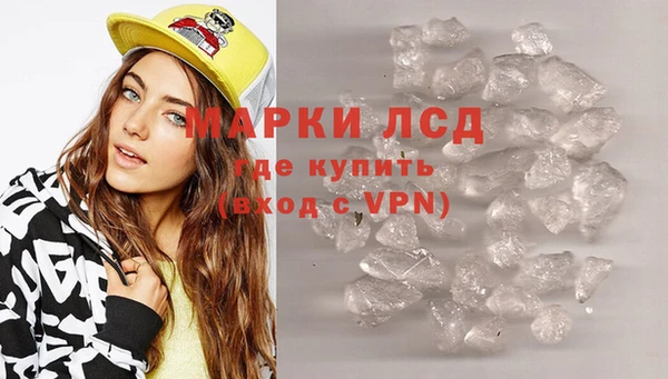 ГАЛЛЮЦИНОГЕННЫЕ ГРИБЫ Каменка