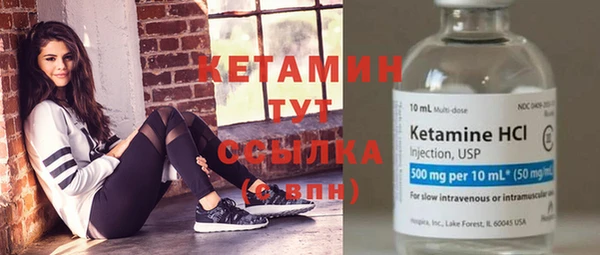 стаф Тайга